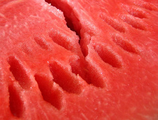 meloun pro hubnutí